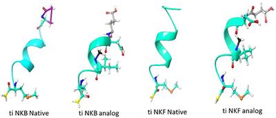 Deciphering Direct and Indirect Effects of Neurokinin B and GnRH in the Brain-Pituitary Axis of Tilapia